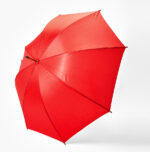 LYSE - Image 3
