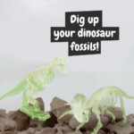 2 in 1 Fossil Excavation Kit I. Educational game for children - Image 5