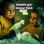2 in 1 Fossil Excavation Kit I. Educational game for children - Image 6