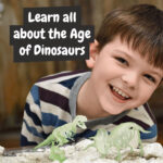 2 in 1 Fossil Excavation Kit I. Educational game for children - Image 7