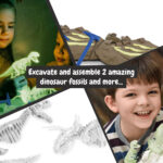 2 in 1 Fossil Excavation Kit I. Educational game for children - Image 8