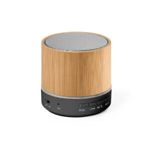 Speaker